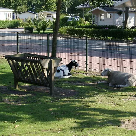 Holiday Droompark Molengroet.42